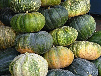Aywal Pumpkin Mix Giant Heirloom Seed(8 per packet)