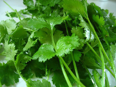 EVY Coriander Green Seed(100 per packet)