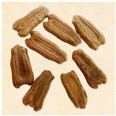WILLVINE XLL-270 Pusa Long Bottle Gourd Seed SEED Seed(50 per packet)