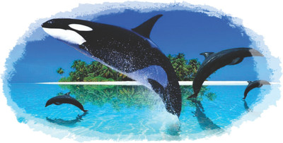 Jagvii 59 cm Dolphin Removable Sticker(Pack of 1)