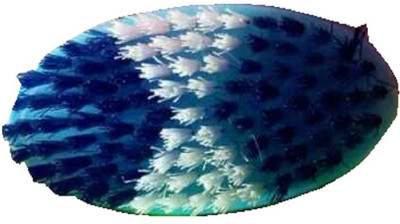 SOORYADEV INDUSTRIES Nylon Wet and Dry Brush(Blue)