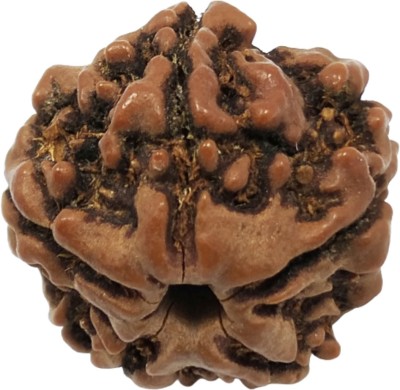 BEEJASANI 5 Mukhi Rudraksha Natural Wood Pendant Wood Pendant