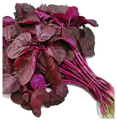 VibeX RED SPINACH, FLARE SEEDS, LAL SAG Seed(500 per packet)