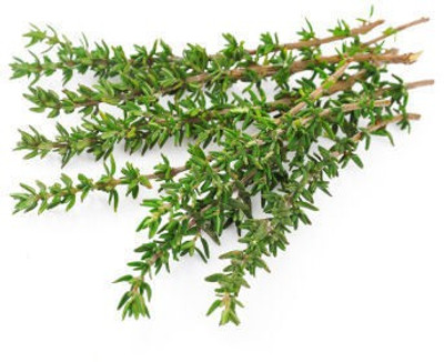 XOLDA Organic thyme herb Seed(22 per packet)