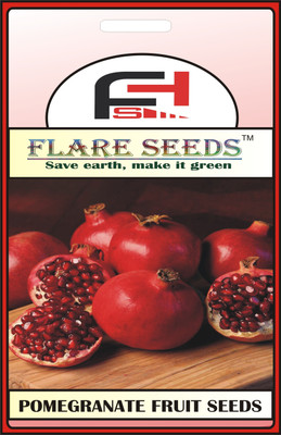 FLARE SEEDS POMEGRANATE Seed(50 per packet)