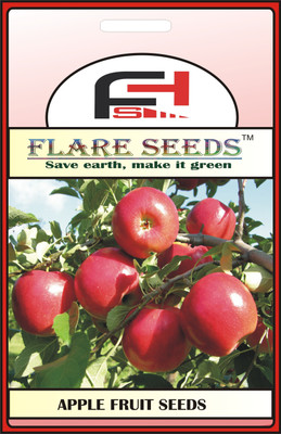 FLARE SEEDS APPLE Seed(10 per packet)