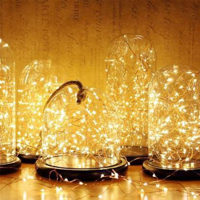 iWin 20 LEDs 1.98 m Gold Steady String Rice Lights(Pack of 2)