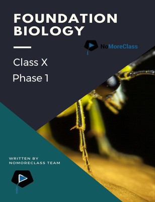 Foundation Biology Class X (Phase 1)(English, Paperback, Nomoreclass)