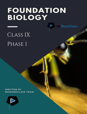 Foundation Biology Class IX (Phase 1)(English, Paperback, Nomoreclass)