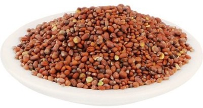 Nature Green redish seed, red redish seed, mooli beej Seed(500 per packet)