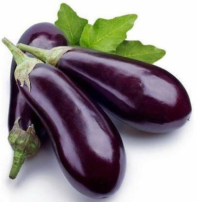 sporos Brinjal Seed(25 per packet)