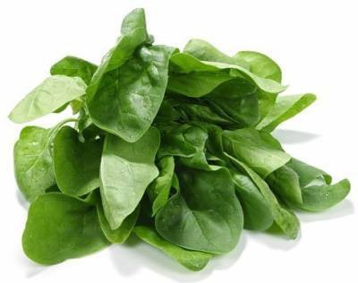 sporos Spinach Seed(30 per packet)