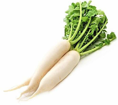 CYBEXIS Hybrid Combo Mooli Radish Seeds-300 Seeds Seed(300 per packet)