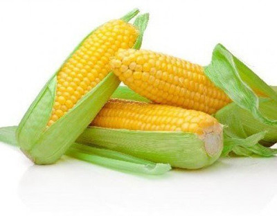 Aywal American Sweet Corn Seed(75 per packet)