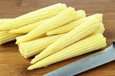 WILLVINE AMR -IX Baby Corn | Maize Ke Beej-[100g] Seed(400 per packet)