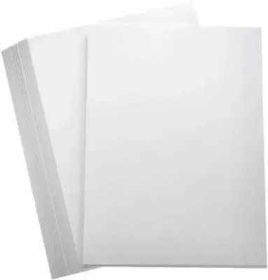 Primo A4 Ivory drawing Sheets Unruled A4 210 gsm Drawing Paper(Set of 2, White)
