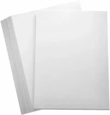 Primo A4 Ivory drawing Sheets Unruled A4 210 gsm Drawing Paper(Set of 2, White)