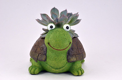 The Craft Store Green Tortoise Design Longevity and Success Vastu Cartoon Theme Unique and Trendy Succulent Imported Polyresin/Resin Pot Without Plant Plant Container Set(Ceramic)