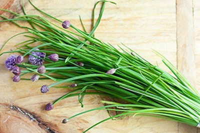 VibeX ® VXL-25 Green Garlic Chives Seeds Seed(100 per packet)