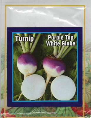 MKR Enterprises Shaljam Seed(175 per packet)