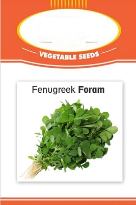 VibeX ™ VXI-198 Organic Natural Methi Seeds - Methi Kasuri Seed(250 per packet)