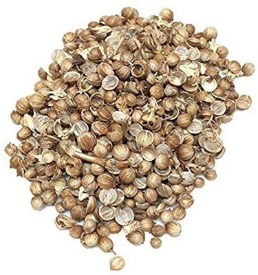 VibeX Coriander Imported Seeds Seed(20 per packet)