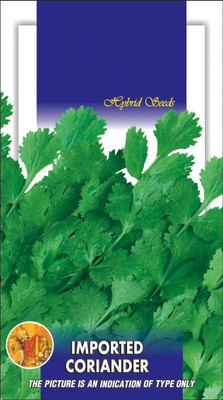CRGO CORIANDER , HARA DHANIYA Seed(250 per packet)