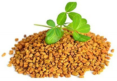 WILLVINE Methi Seed(2000 per packet)