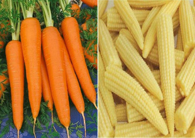 WILLVINE Carrot Shin Kuroda and Baby Corn Seeds Seed(500 per packet)