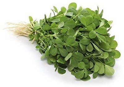 Biosnyg METHI KASURI SEEDS 100gm Seeds Seed(100 g)