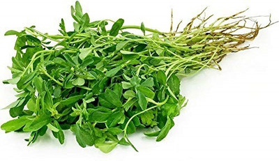 VibeX ™ VXI-36 Vegetable Methi Seeds - Methi Kasuri Seed(150 per packet)