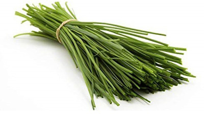 WILLVINE Chives (Green Plain Leaf) Microgreen Seeds Seed(1000 per packet)