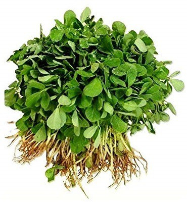 VibeX Methi Seed(60 per packet)