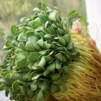 Aywal methi Seed(700 per packet)