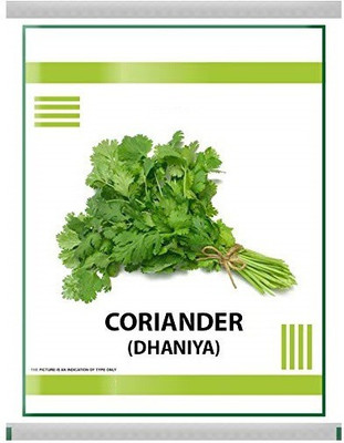 VibeX Coriander/Dhaniya indian Vegetable Seeds-100 x Seeds Seed(100 per packet)