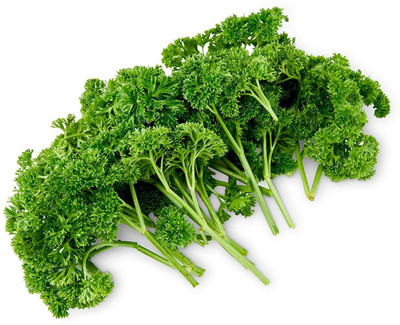 VibeX ™ GXL-141-GREEN Parsley Organic Herb F1 Hybrid Seeds Small Pack Seed(20 per packet)