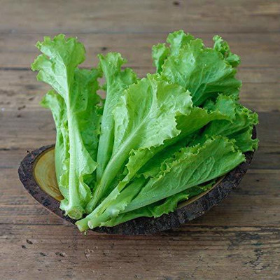 VibeX ® VXI-405 Organic Lettuce Seeds For Gardening Seeds Seed(100 per packet)