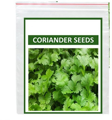 VibeX ® XLL-203 Vegetable Seeds - Coriander-60 x Seeds Seed(60 per packet)