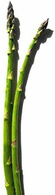 WILLVINE ™Plant Asparagus Seeds Seed(200 per packet)