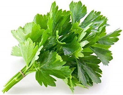 ActrovaX Natural Coriander [2000 Seeds] Seed(2000 per packet)