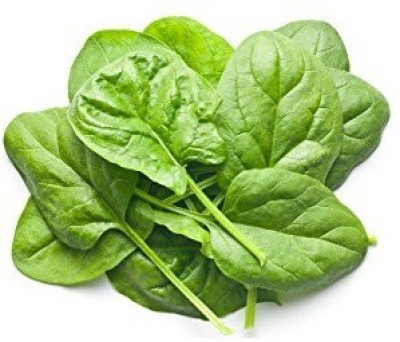 VibeX Palak Spinach Seeds (Leafy vegetable)-500 Seeds Seed(500 per packet)