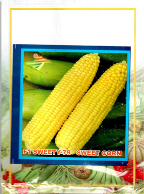VibeX Sweet Corn Seed(35 per packet)