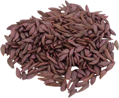 VibeX ™ VXI-108 Lettuce Butter Head Red Seeds Seed(175 per packet)