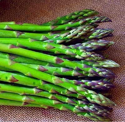 Cosmos Asparagus Seed(100 per packet)