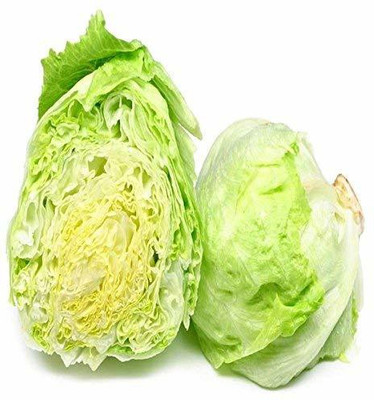 VibeX ® VXI-539 Vegetable Seeds Lettuce Iceberg Seeds Seed(50 per packet)