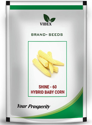VibeX Corn Seed Seed(100 per packet)