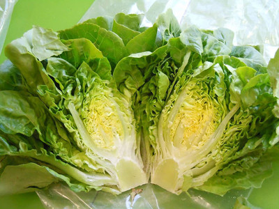 VibeX ™ VXI-368 Romaine Lettuce Seeds Seed(40 per packet)