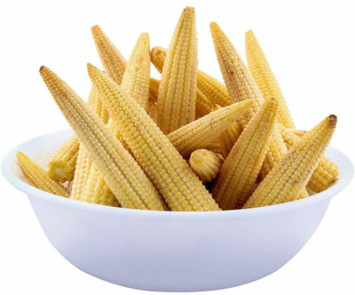 WILLVINE Corn Seed(500 per packet)