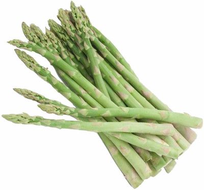 ActrovaX Asparagus Racemosus Seed(50 per packet)