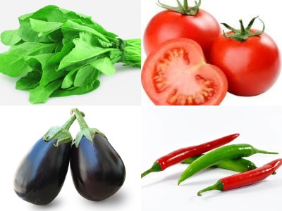 ALPINE HYBRIDE SEEDS VEGETABLE SEEDS KIT, VEGETABLE COMBO, PALAK, TOMATO, CHILLY, BRINJAL Seed(50 per packet)